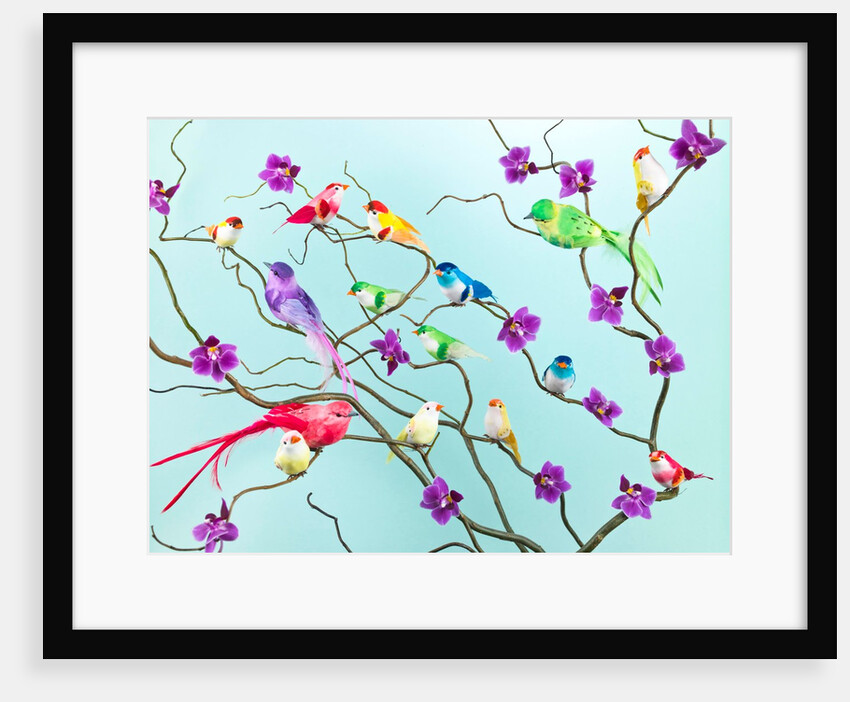 Fake birds on branches by Assaf Frank